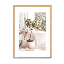 Load image into Gallery viewer, French Country Orange Tree | Framed Print