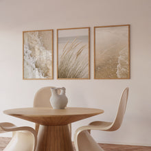 Load image into Gallery viewer, Coastal Vibes V Set of 3 | Gallery Wall