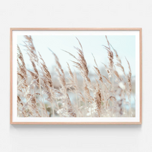 Load image into Gallery viewer, Pampas II Landscape | Art Print
