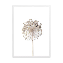 Load image into Gallery viewer, Neutral Dandelion | Framed Print