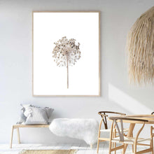 Load image into Gallery viewer, Neutral Dandelion | Framed Print