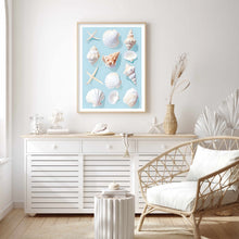 Load image into Gallery viewer, Seashells Blue | Wall Art
