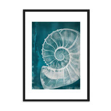 Load image into Gallery viewer, Big Shell | Wall Art
