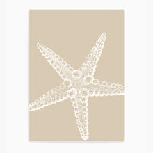 Load image into Gallery viewer, Starfish Neutral I | Wall Art
