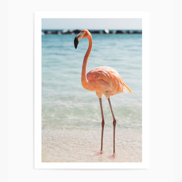 Flamingo II | Art Print