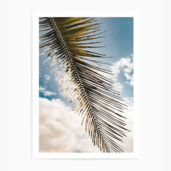 Palm Tree Sky | Art Print