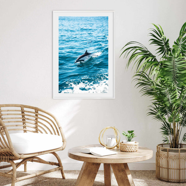 Dolphin | Art Print