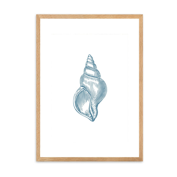 Seashell Blue I | Wall Art