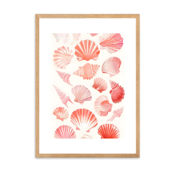 Seashells Coral | Wall Art