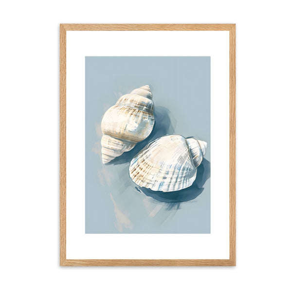 Shells III | Wall Art