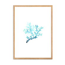 Load image into Gallery viewer, Coral Blue | Wall Art
