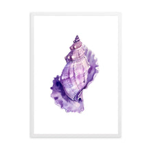 Load image into Gallery viewer, Seashell Pink Tones | Wall Art
