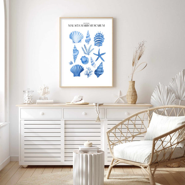 Shells Blue II | Wall Art