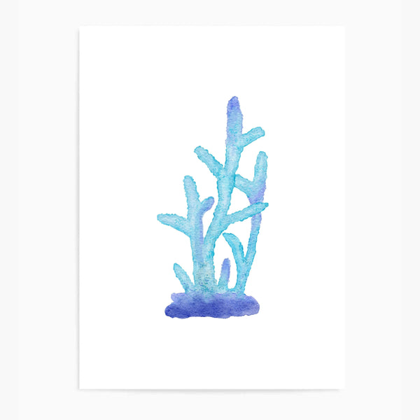 Coral Blue | Wall Art