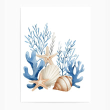 Load image into Gallery viewer, Coral &amp; Shells | Wall Art
