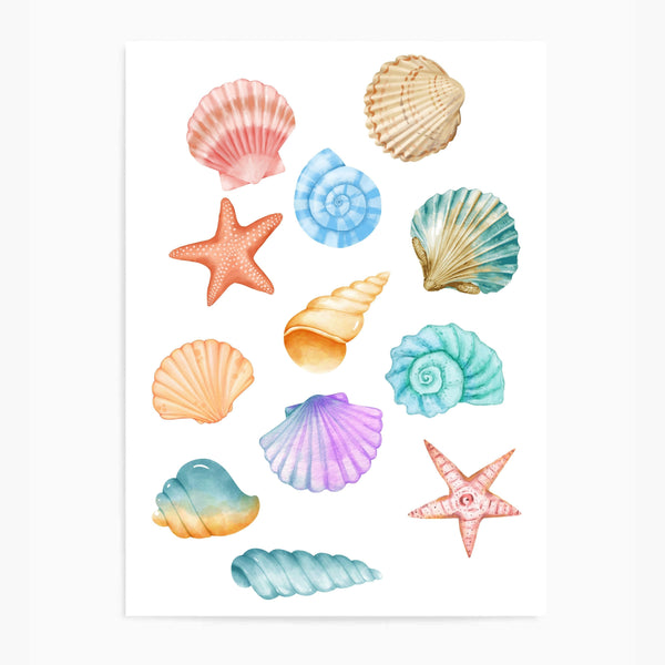 Seashells Colourful | Wall Art