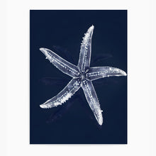 Load image into Gallery viewer, Starfish Ocean Blue II | Wall Art
