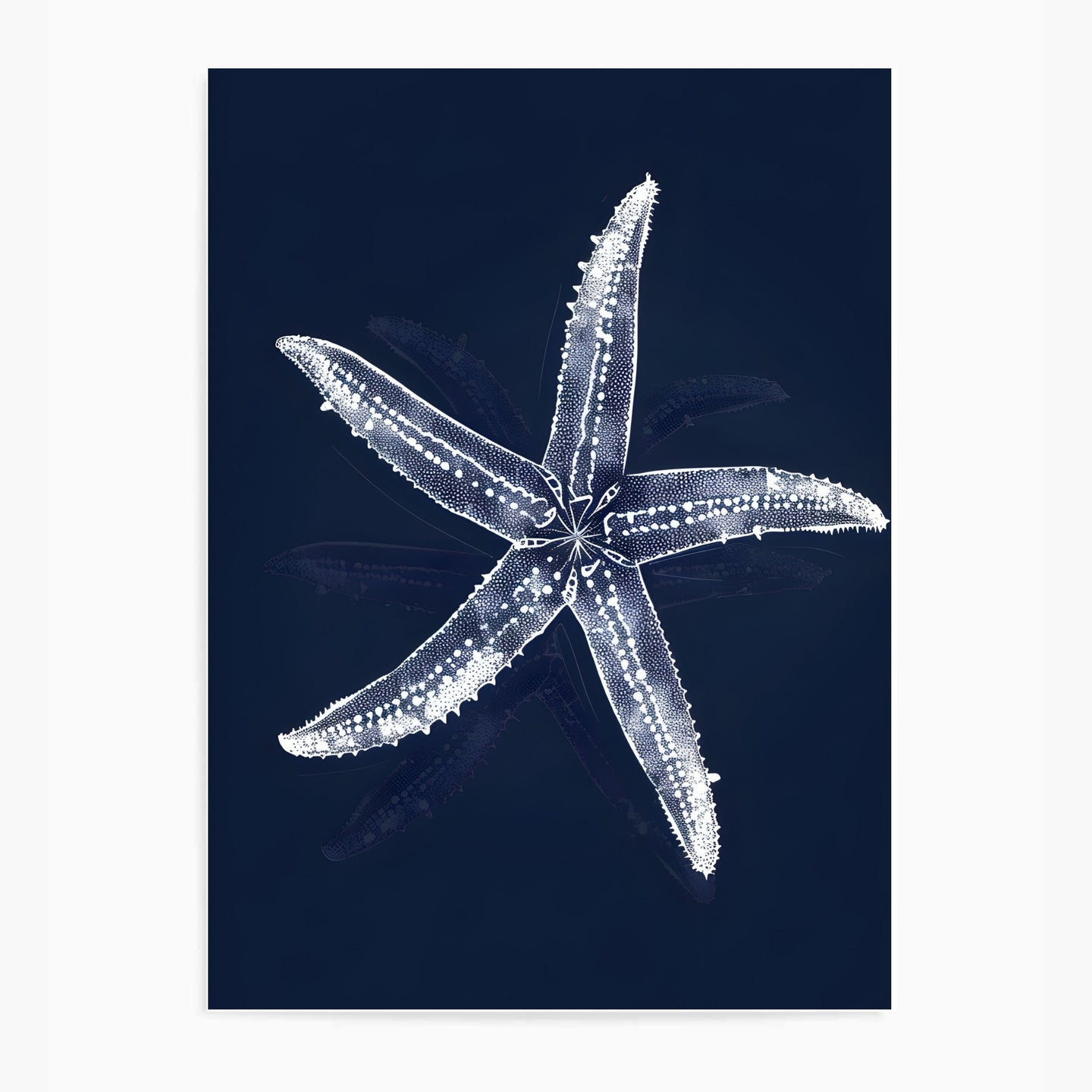 Starfish Ocean Blue II | Wall Art