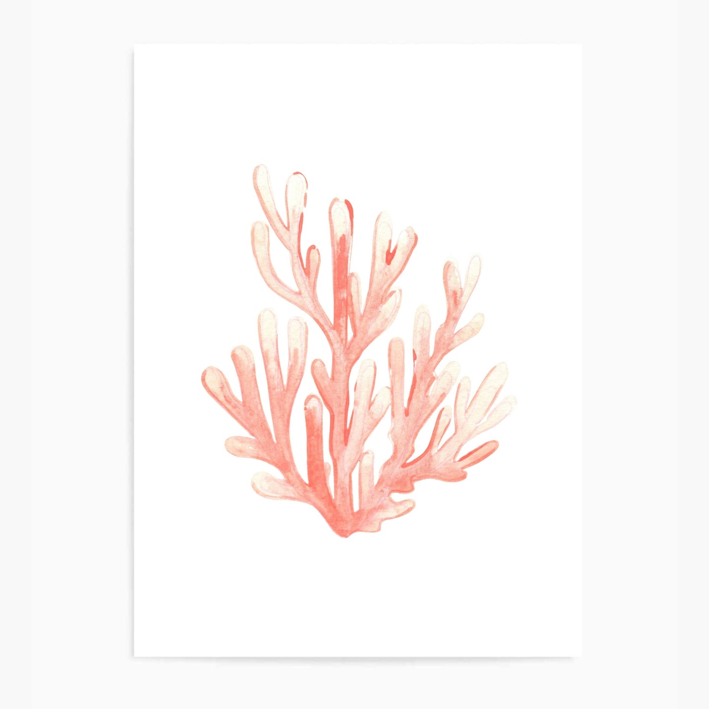 Coral Orange | Wall Art