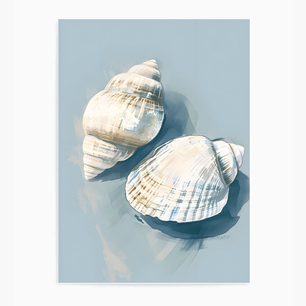 Shells III | Wall Art