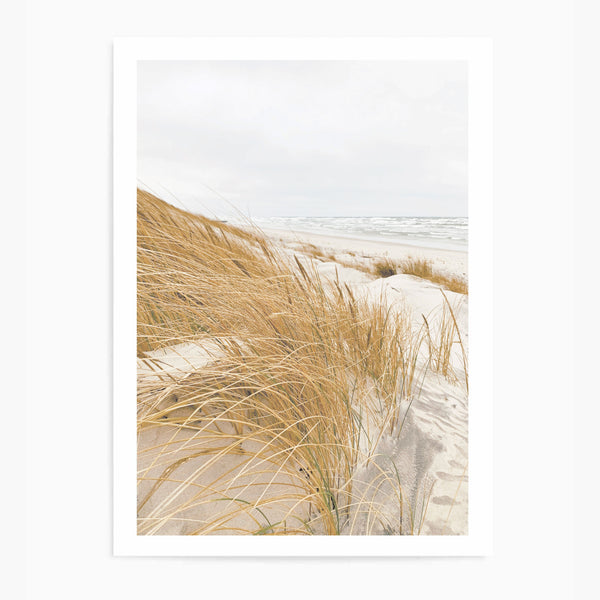 Pampas Beach Sand Dunes | Art Print