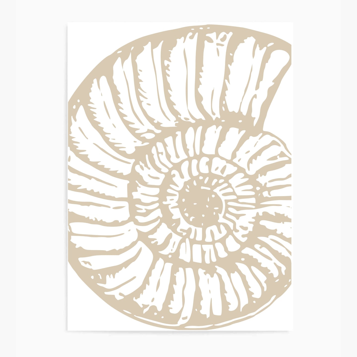 Seashell Neutral II | Wall Art