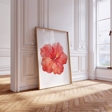 Load image into Gallery viewer, Hibiscus Flower | Art Print
