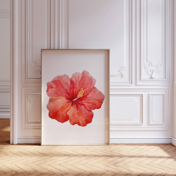 Hibiscus Flower | Art Print