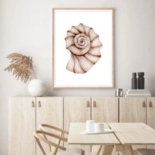 Load image into Gallery viewer, Seashell Neutral Tones II | Wall Art
