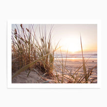 Load image into Gallery viewer, Pampas Beach Sunset Landscape | Art Print
