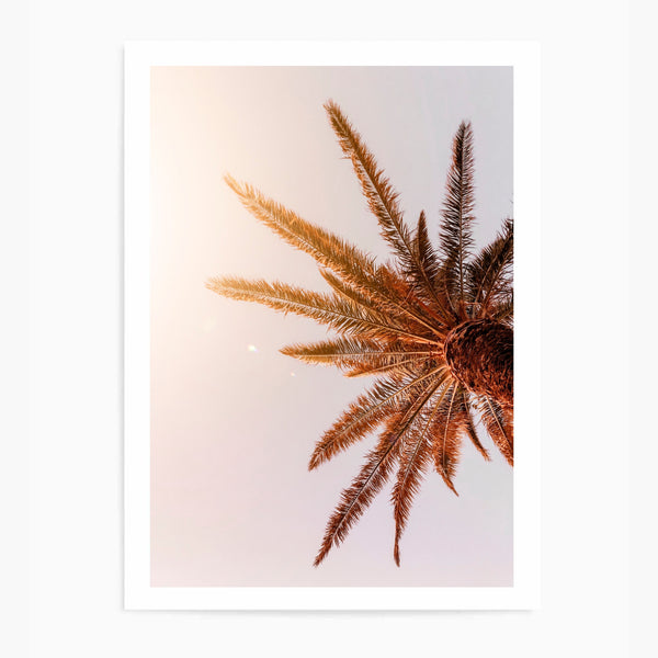 Palm Tree Sunset | Art Print