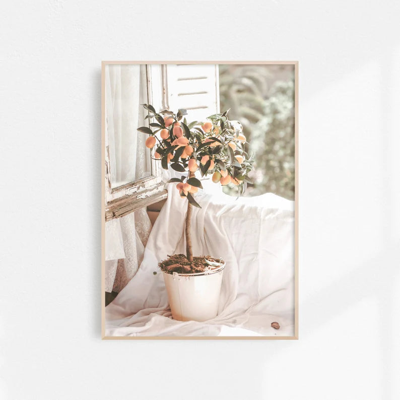 French Countryside Set of 3 | Gallery Wall Art