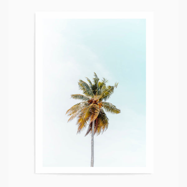 Palm Tree Single | Art Print