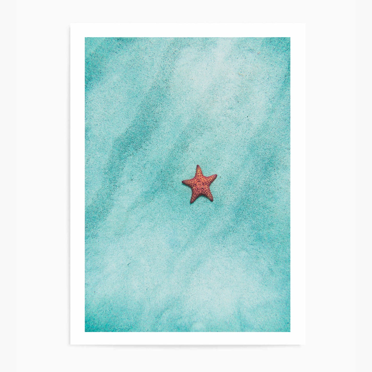 Starfish I | Art Print