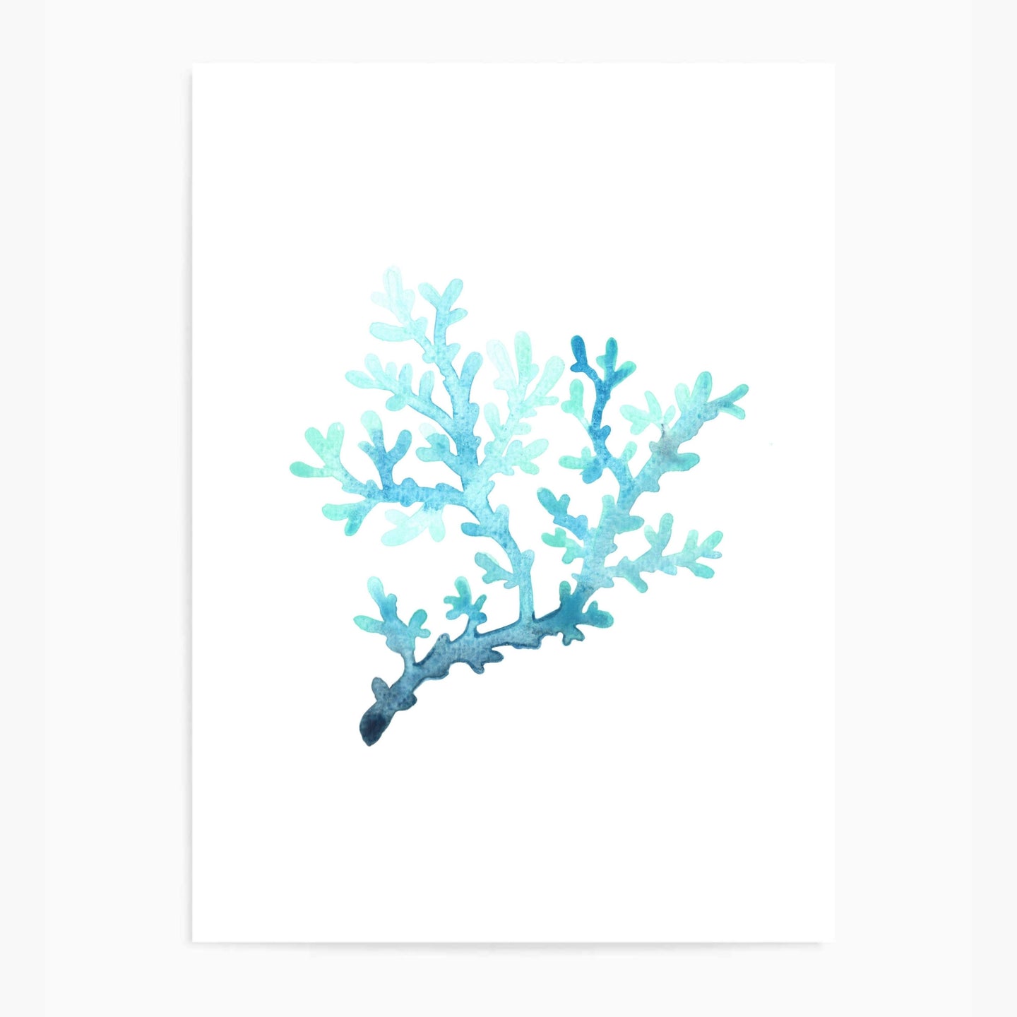 Coral Blue | Wall Art