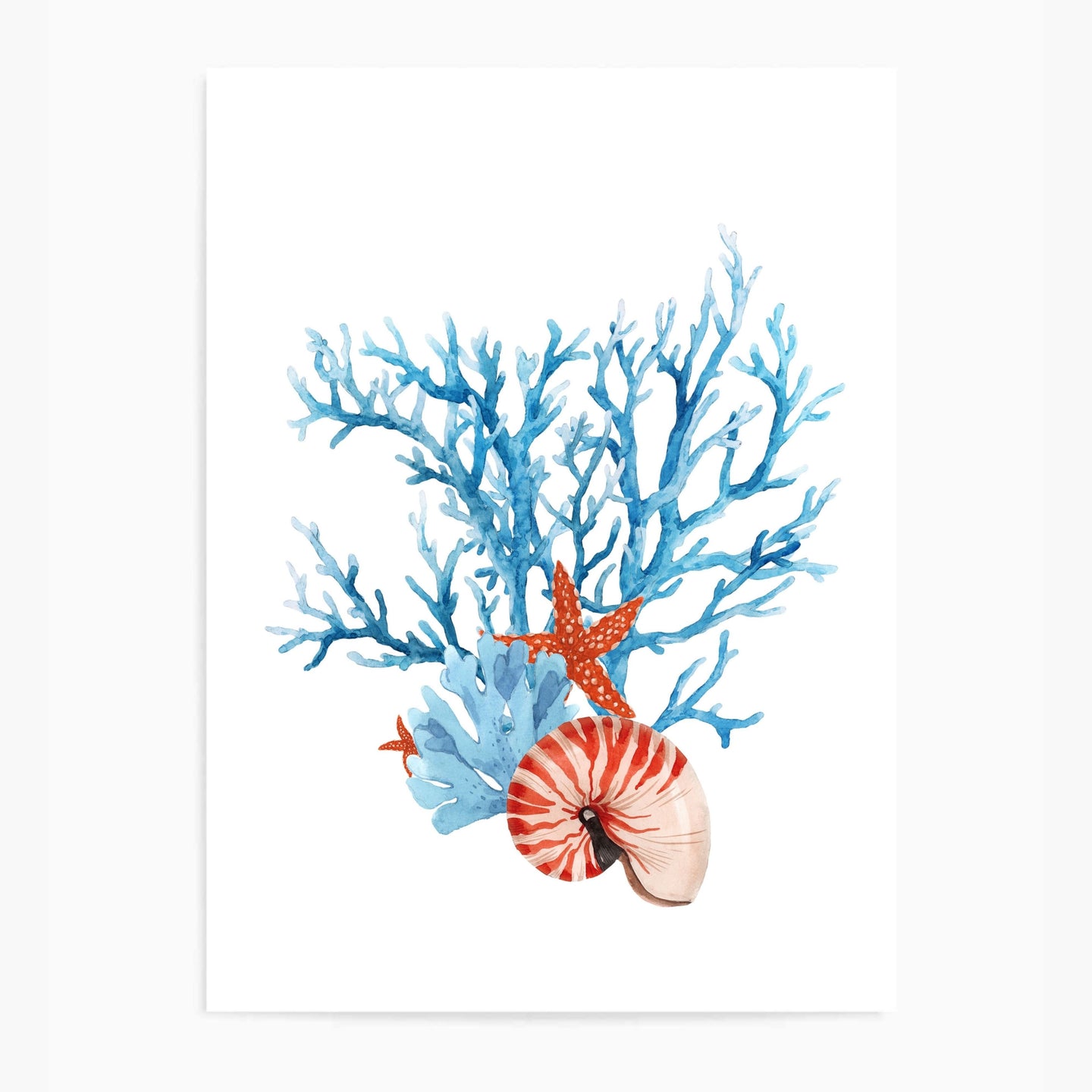 Coral Blue & Orange Tones | Wall Art