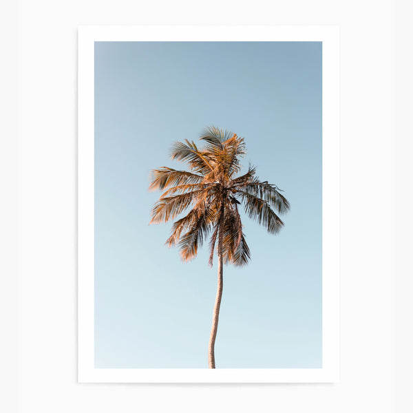 Palm Tree Single II | Art Print