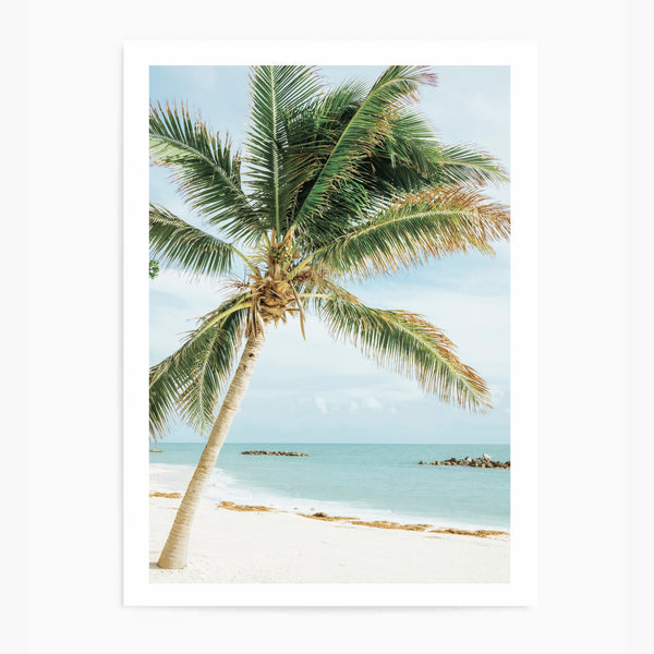 Beach Palm Tree | Art Print