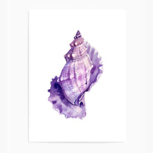 Load image into Gallery viewer, Seashell Pink Tones | Wall Art
