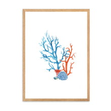 Load image into Gallery viewer, Coral Colourful II | Wall Art
