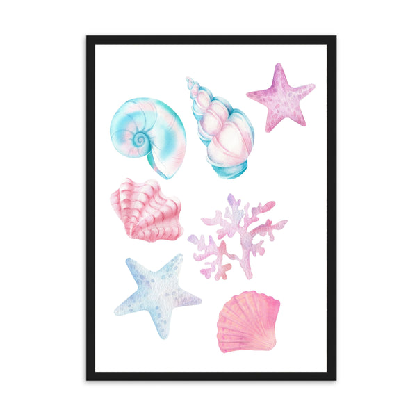 Shells II | Wall Art