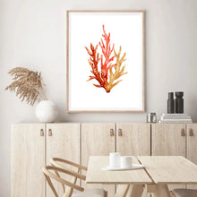 Load image into Gallery viewer, Coral Orange Tones | Wall Art
