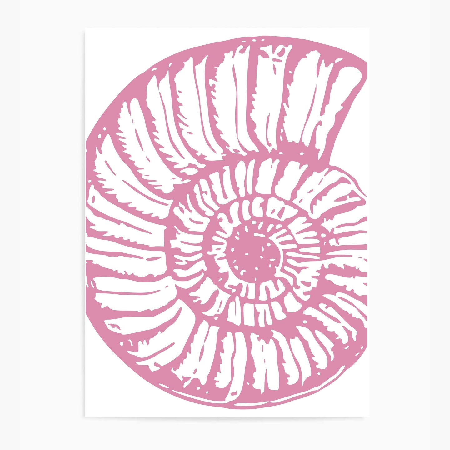 Seashell Pink II | Wall Art