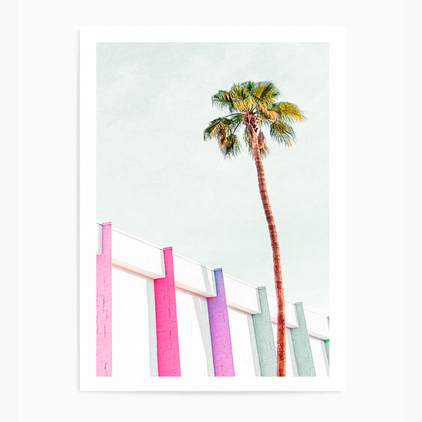 Palm Tree & Wall | Art Print