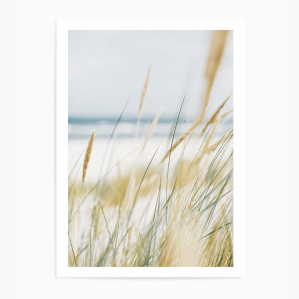 Pampas Beach III | Art Print