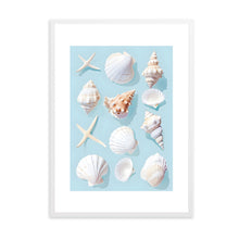 Load image into Gallery viewer, Seashells Blue | Wall Art
