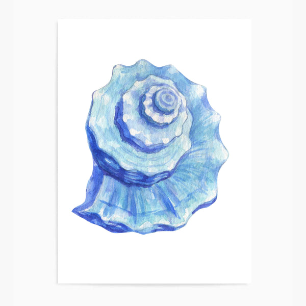 Seashell Blue II | Wall Art