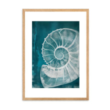 Load image into Gallery viewer, Big Shell | Wall Art
