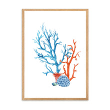 Load image into Gallery viewer, Coral Colourful II | Wall Art
