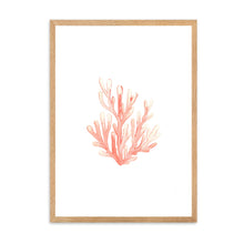 Load image into Gallery viewer, Coral Orange | Wall Art
